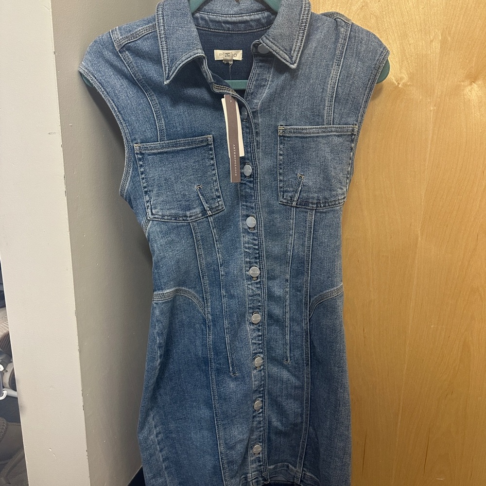 Anthropologie Denim Button up Dress